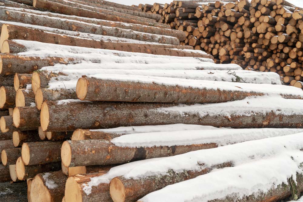 Антисептирование древесины при минусовых температурах