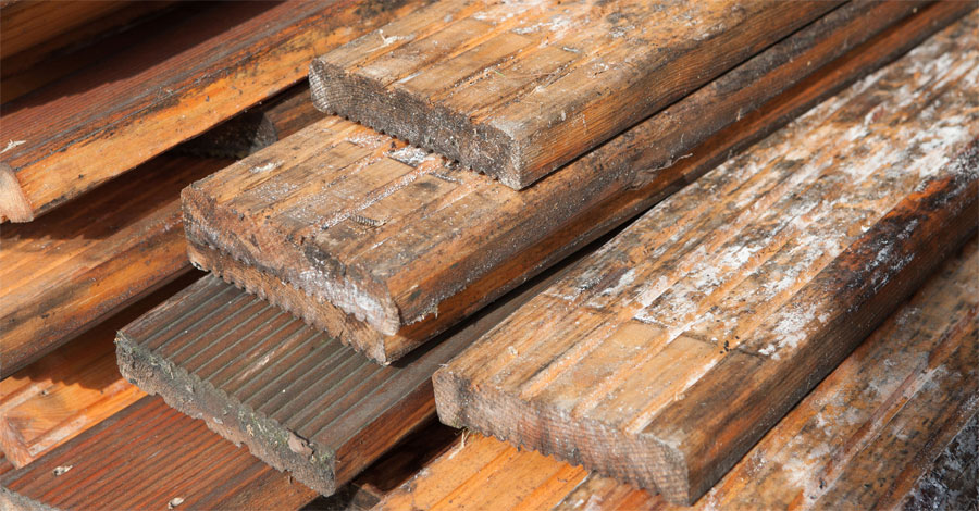 Биозащита древесины, бетона, кирпича